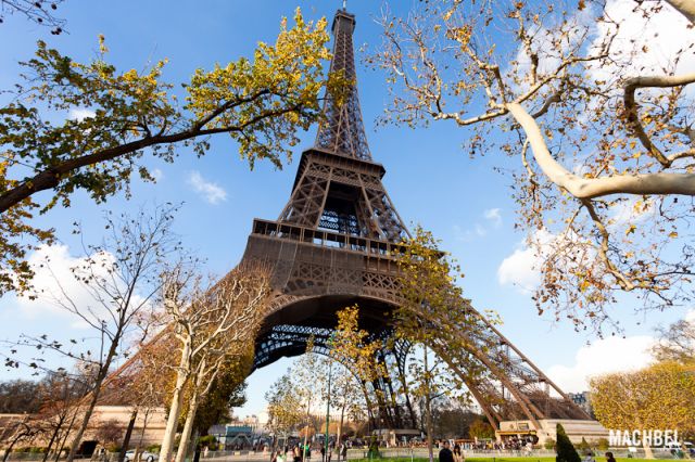 Torre Eiffel entre árboles Torre Eiffel entre árboles Vista general de la Torre Eiffel entre árboles desde el campo de Marte París Francia 640x426 La Torre Eiffel, icono de París