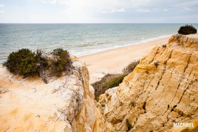 Playa de Pico de Loro Playa de Pico de Loro Parque Natural de Doñana 2 640x426 Playas del Parque Natural de Doñana