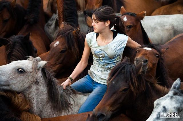 Aloitadora cabalgando Aloitadora cabalgando Rapa das Bestas 2012 Sabucedo Galicia España 640x426 A Rapa das Bestas, peluquería de caballos en Sabucedo, Galicia