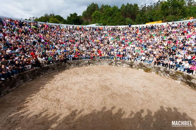 El curro El curro Rapa das Bestas 2012 Sabucedo Galicia España 640x426 A Rapa das Bestas, peluquería de caballos en Sabucedo, Galicia