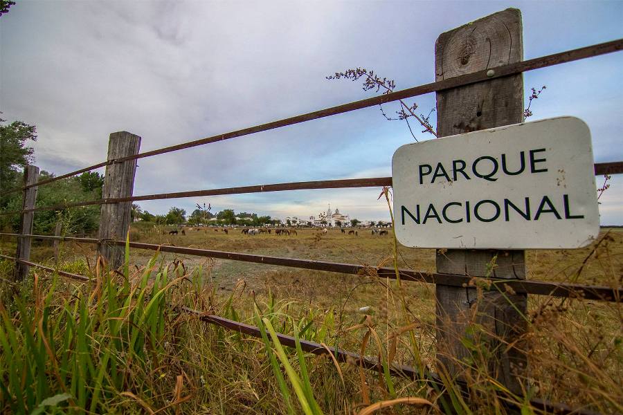 Parque Nacional de Doñana, por Naturaleza y Viajes