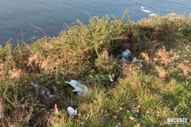 Basura en lugares naturales, Asturias