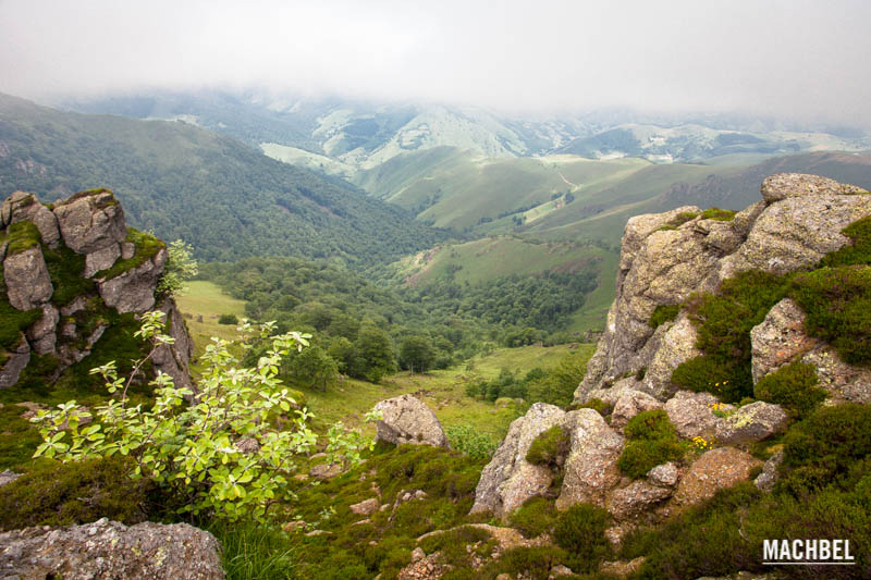 Reserva natural de la Selva de Irati, Navarra
