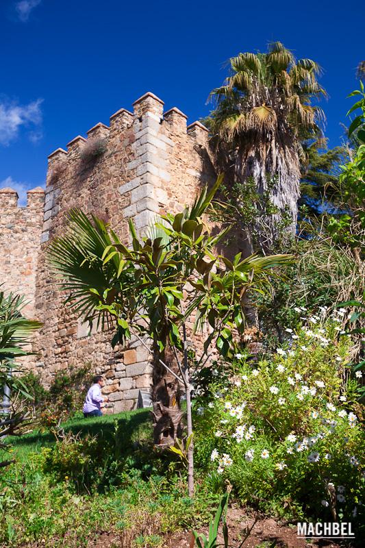 Un señor sube por un camino rodeado de palmeras alrededor del castillo de Jerez de los Caballeros, Extremadura