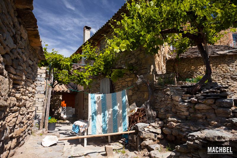 Hiedra sobre un mantel a rayas azules y blancas que está tendido. Montañana, Aragón, España
