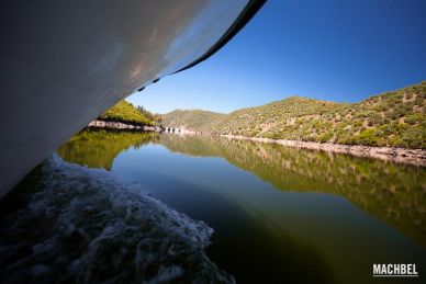 Vista a ras del río Tajo del avance del barco por el Parque Natural del Taejo Internacional