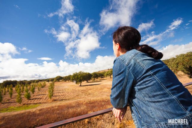 Visita y cata de vino en bodegas Hacienda Zorita, Salamanca, Castilla y León, España