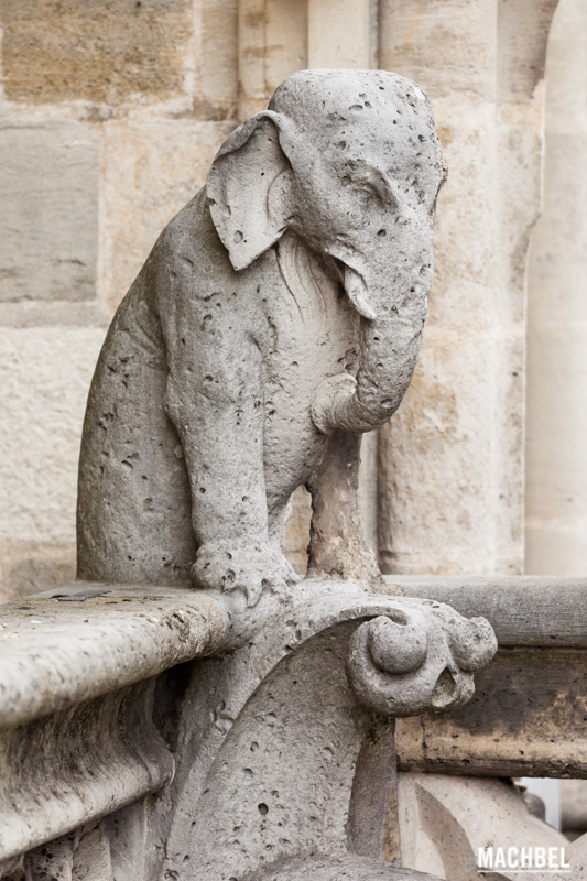 Quimeras o Gárgolas de Notre Dame, París, Francia by machbel