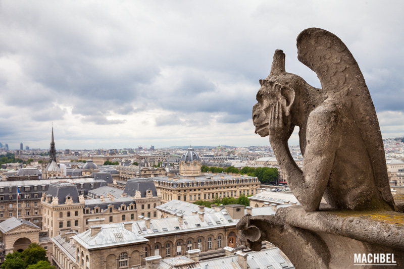La misteriosa galería de las quimeras o gárgolas de Notre Dame, París -  machbel