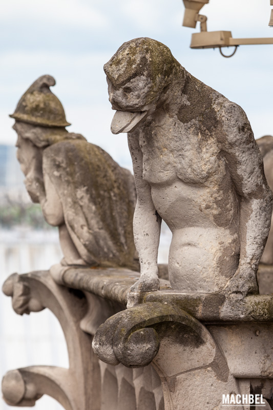 Quimeras o Gárgolas de Notre Dame, París, Francia by machbel