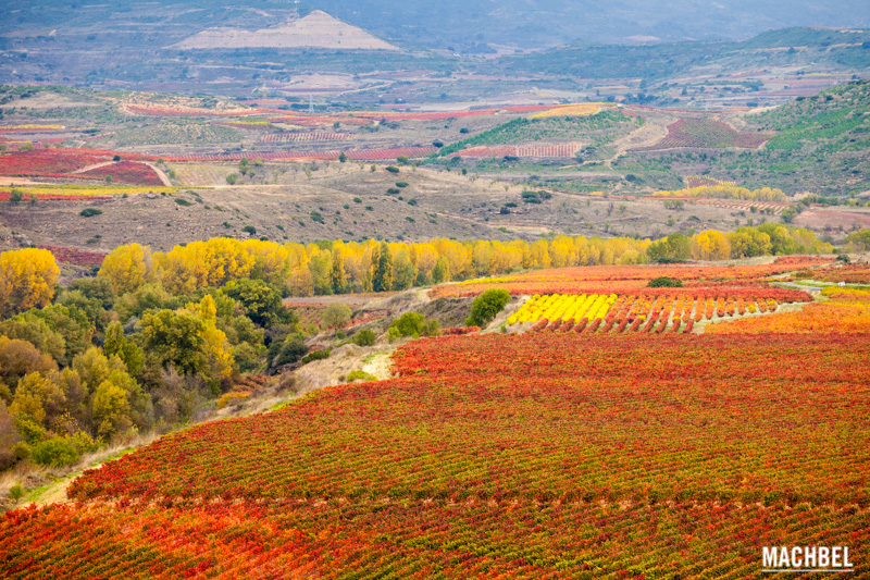 La Rioja y el vino, conociendo su cultura con los paisajes de otoño ...