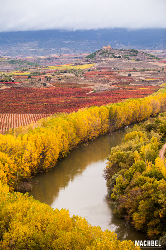 Viñedos en otoño La Rioja, España by machbel