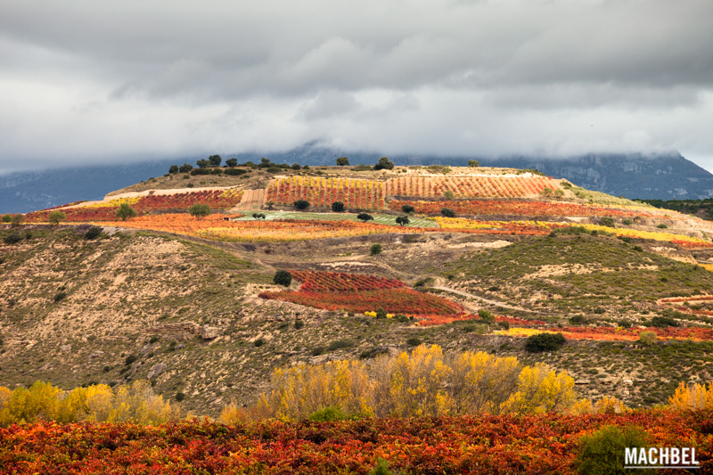 La Rioja y el vino, conociendo su cultura con los paisajes de otoño ...