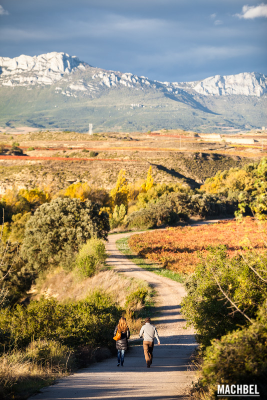La Rioja y el vino, conociendo su cultura con los paisajes de otoño ...