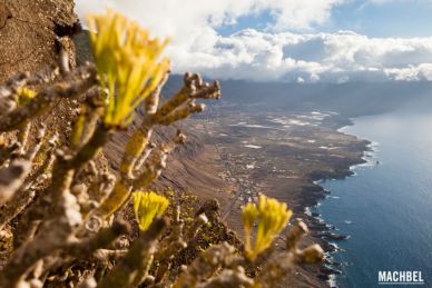 Paisaje de la Isla de El HIerro, Islas Canarias España by machbel