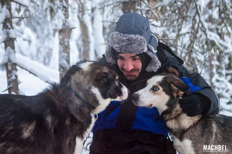 Travesía con Huskies por Laponia Finlandia by machbel
