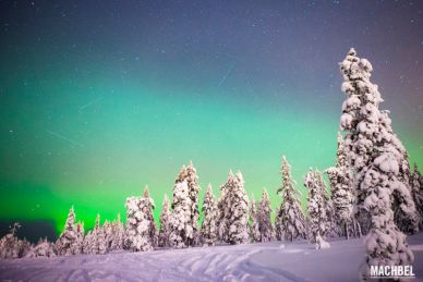 Rovaniemi en invierno Finlandia by machbel