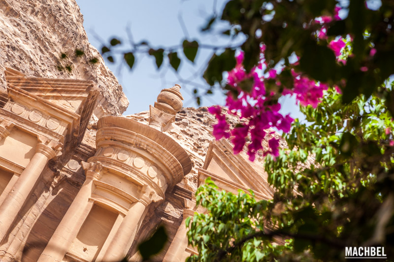 Monasterio o Deir de Petra Jordania con flores