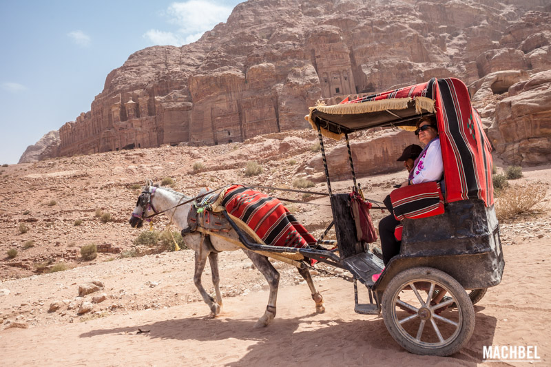 Turista mirando las ruinas de Petra desde un carro