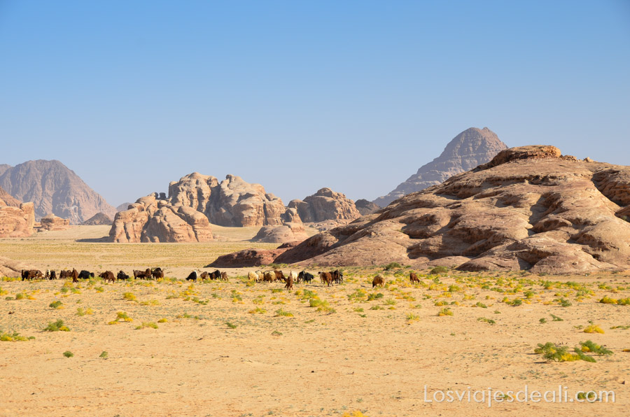 Desierto de Wadi Rum por Alicia