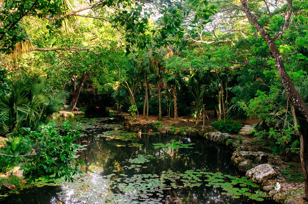 Vista del cenote sagrado desde el spa