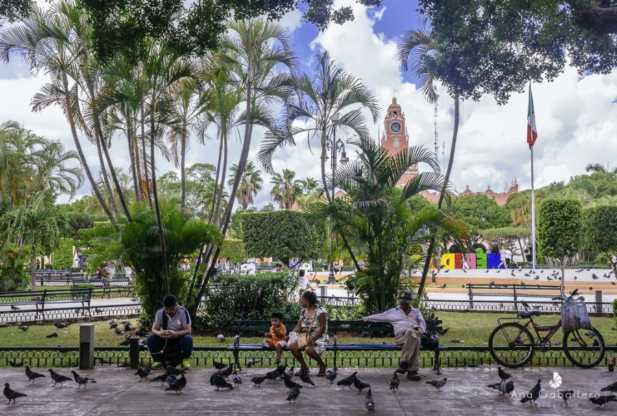 Parque principal de Mérida
