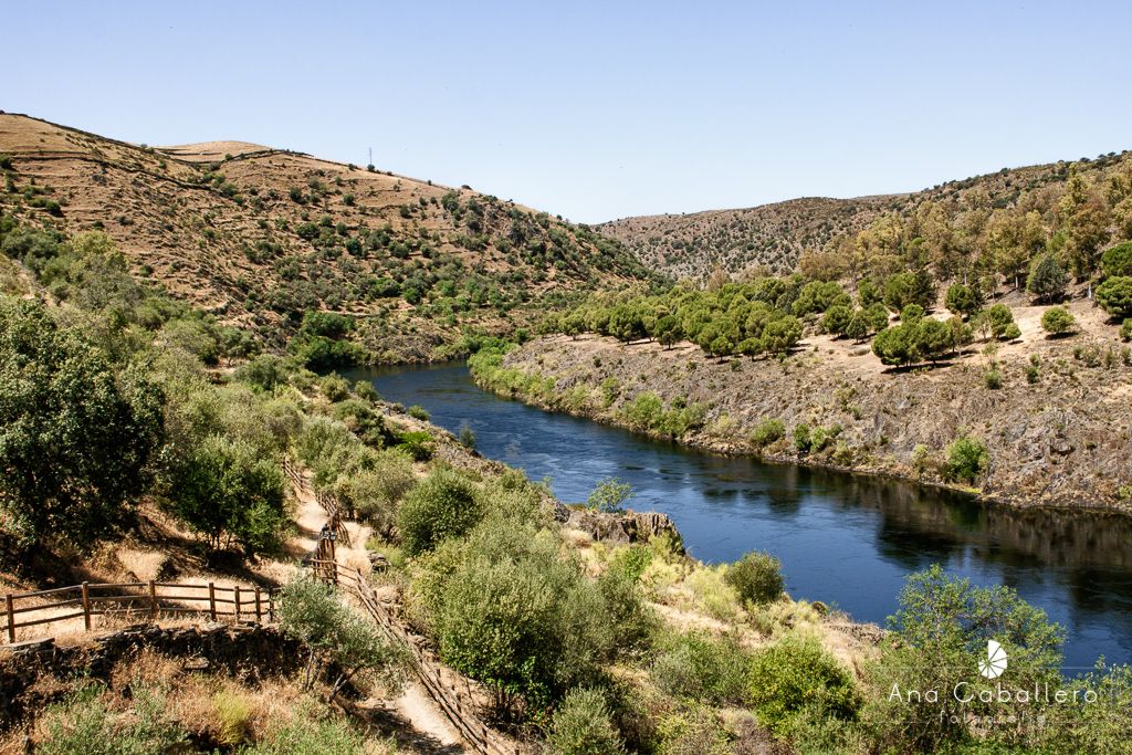 Río Tajo - Tejo a su paso por Alcántara