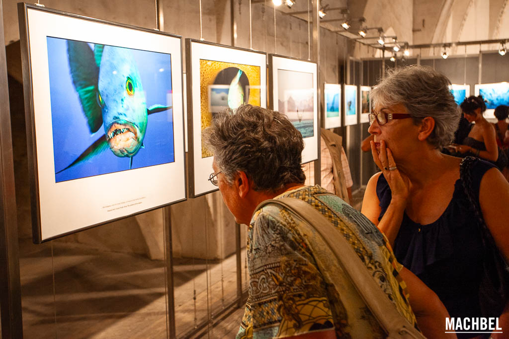 Exposición de fotografías. Perpignan